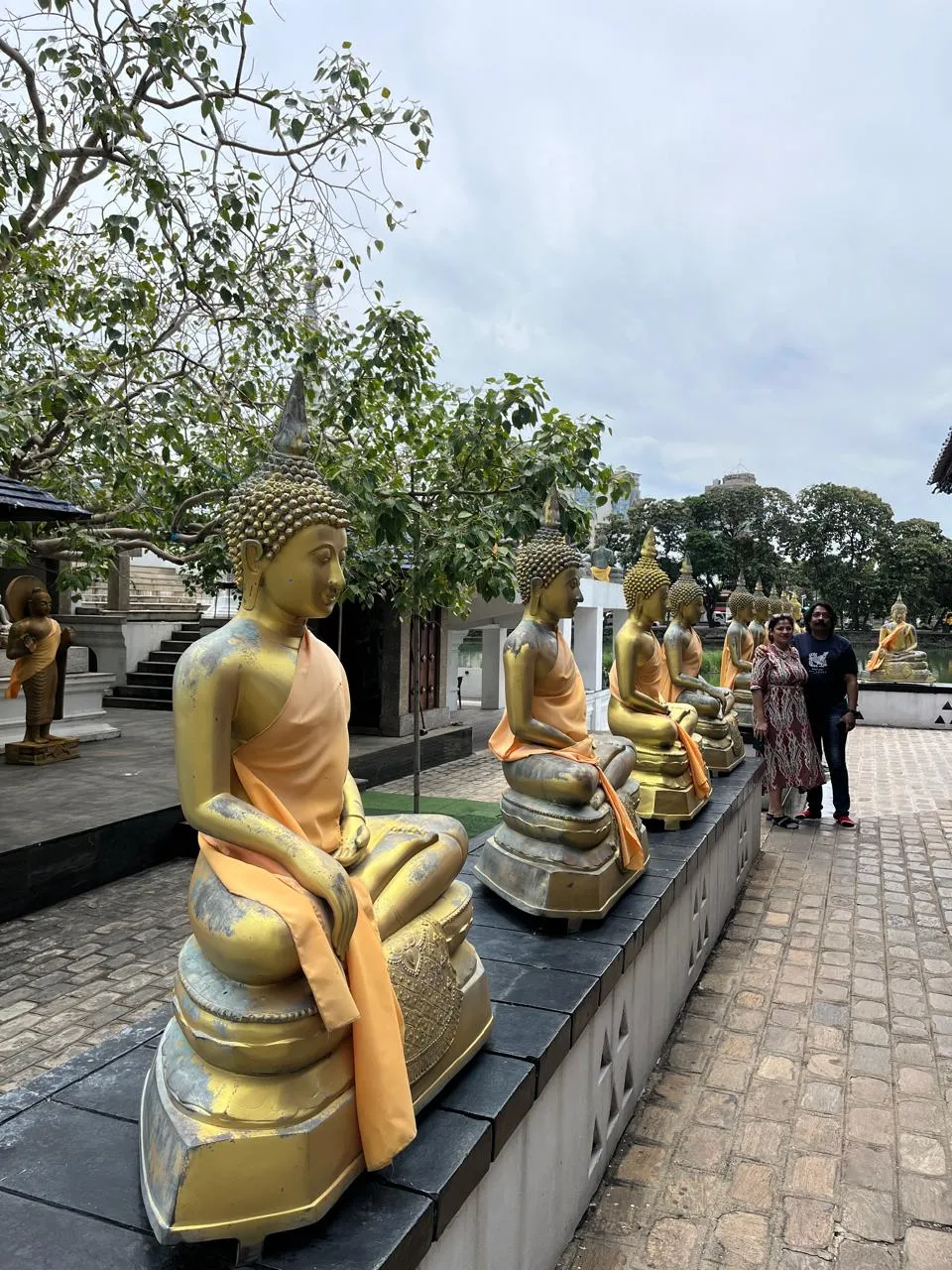 Sri Lanka Travel Moment 49
